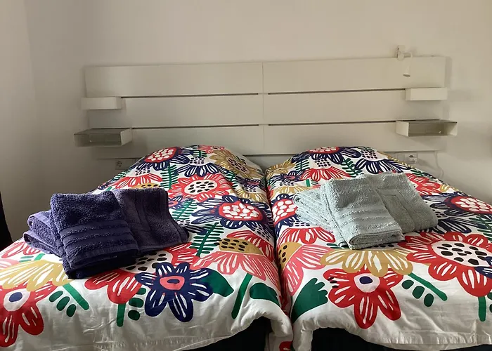 Aliseos * 코스타 데 안티과